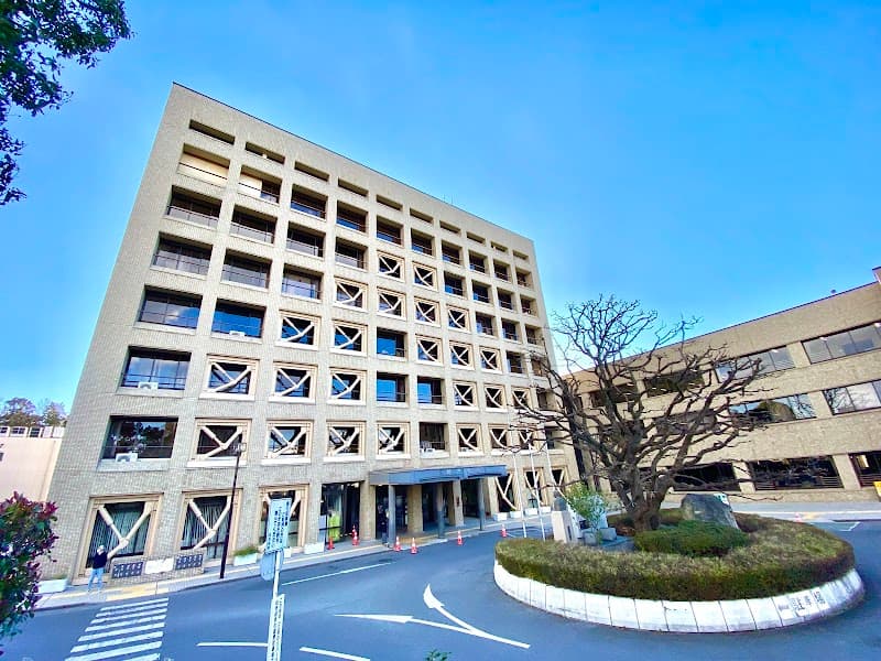 A Roman Kashiwa City photo