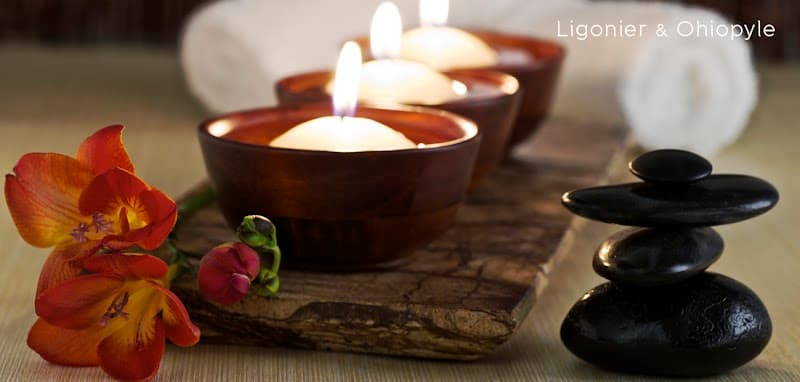 Akoia Day Spa Healdsburg photo