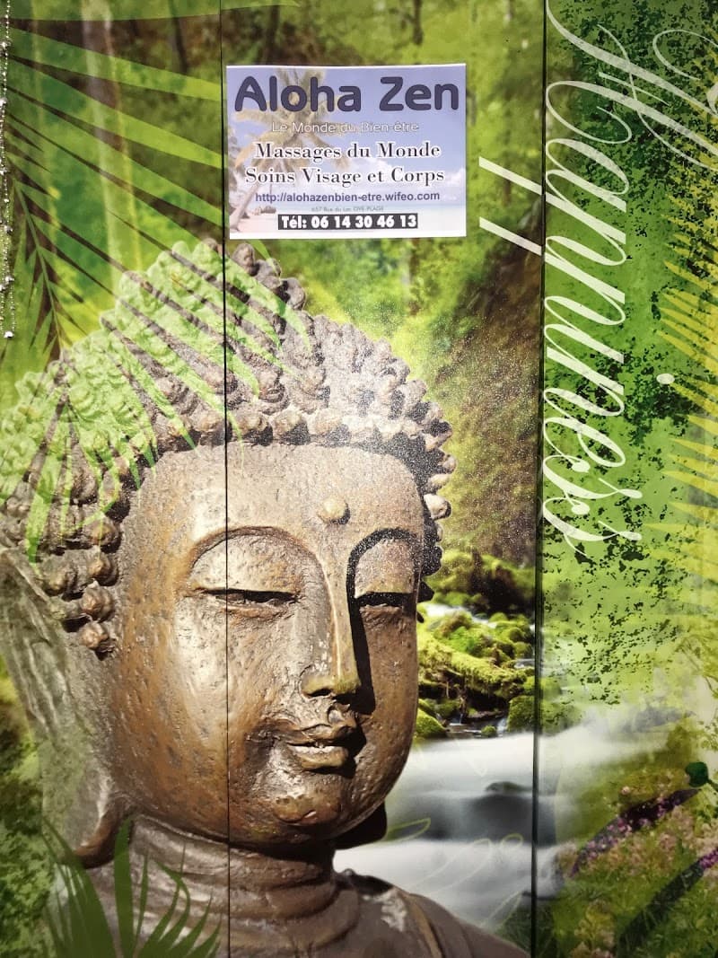 Aloha Zen Oye-Plage photo