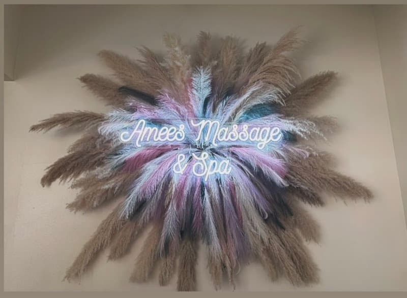 Amees Massage & Spa Mattawan photo