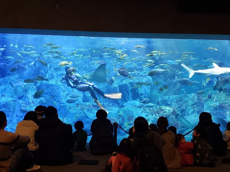 Antinu Oita City photo