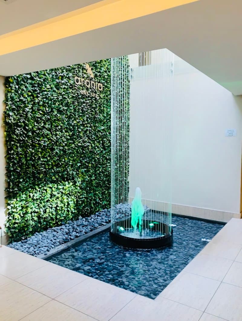 Aronia Day Spa Johannesburg photo