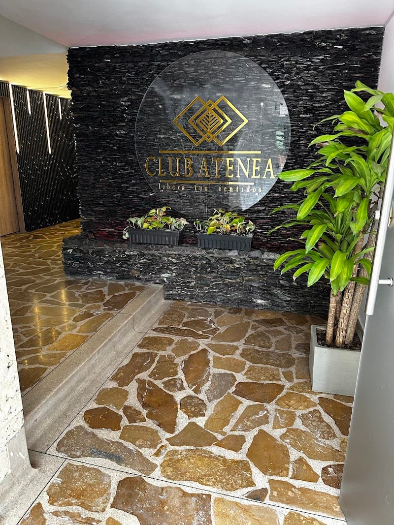 Atenea Spa San Miguel photo