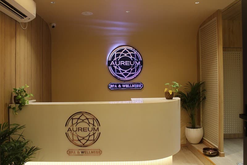 Aureum Spa & Wellness Lucknow photo