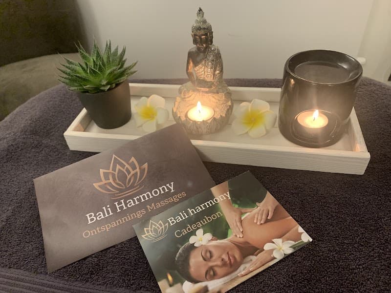 Baliharmony Helmond photo