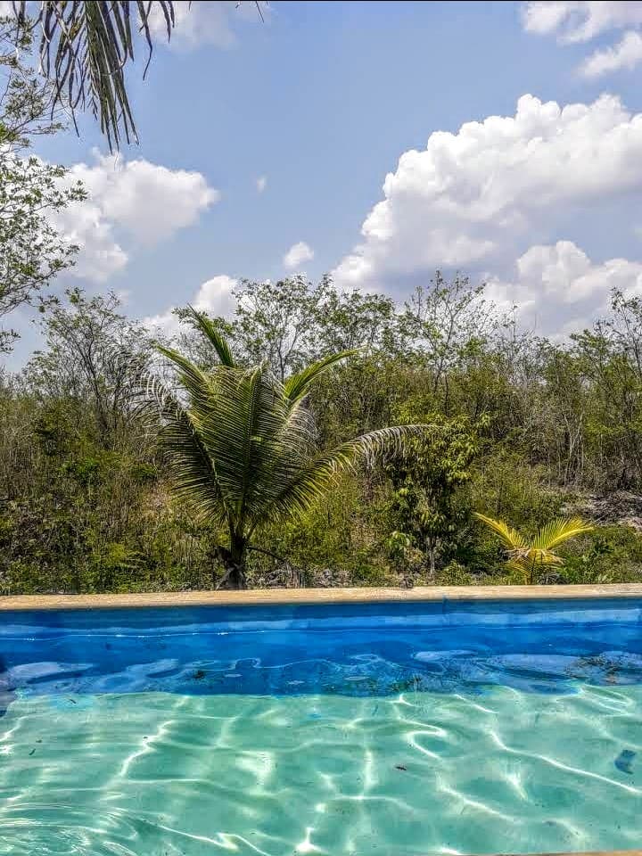 Balneario Los Cocos Maxcanú photo