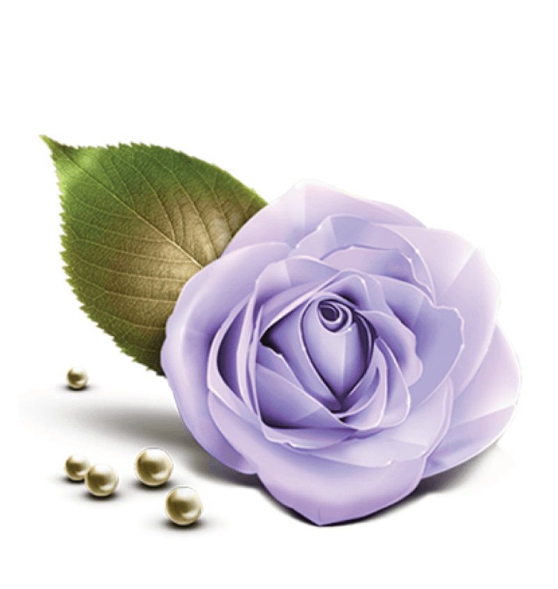 Balsam Rose Massage Tomball photo