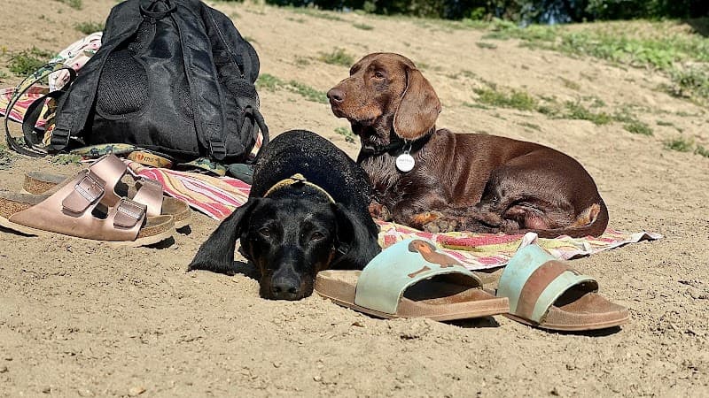 Bárka Dog Beach Mindszent photo