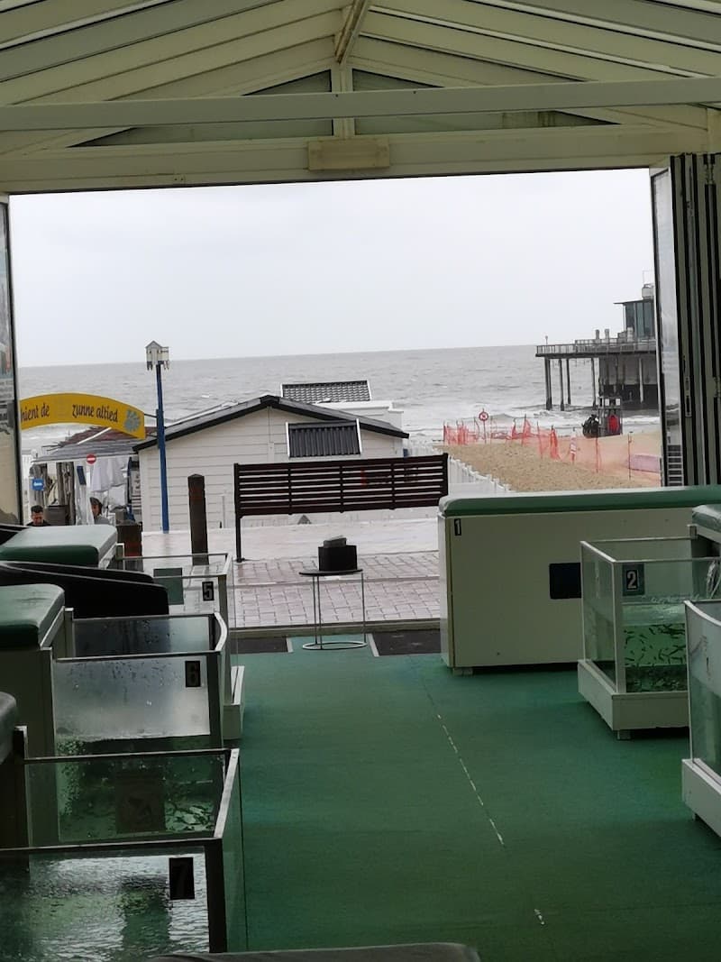 Beach Fish SPA Blankenberge photo