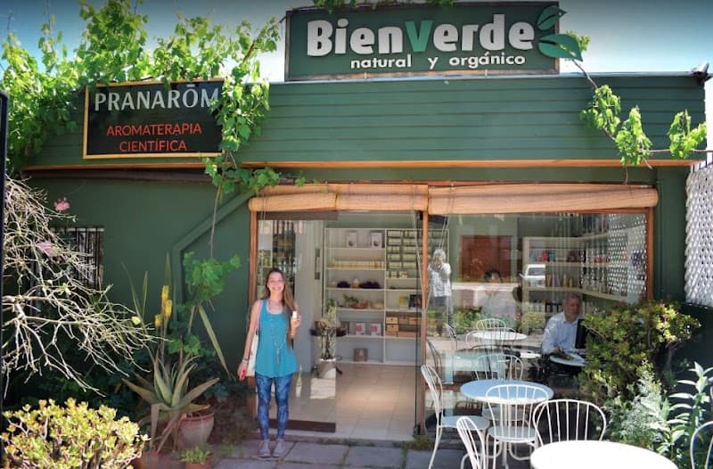 Bienverde Santiago photo