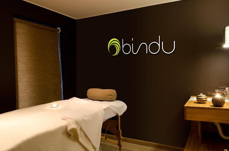 Bindu Spa Vitacura photo