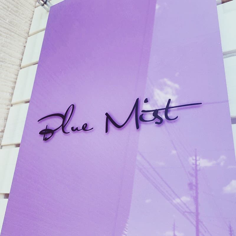 Blue Mist Ogaki photo