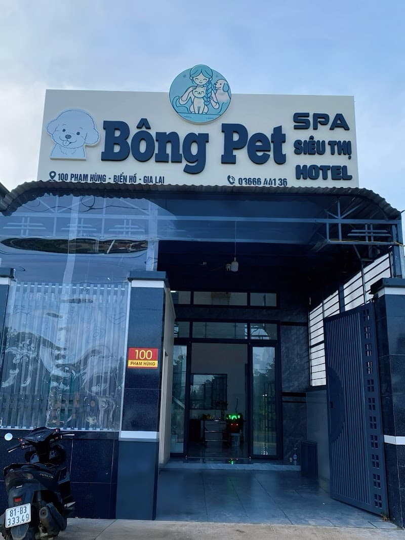 Bông Pet- Spa thú cưng Pleiku photo