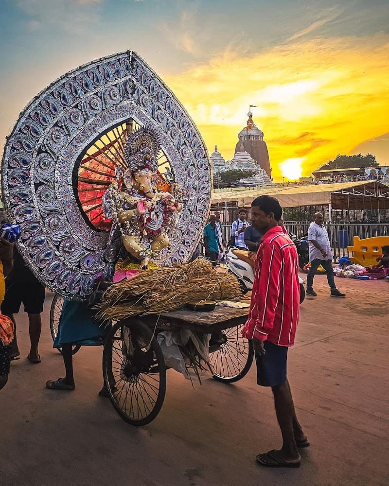Booking Now Salepur photo