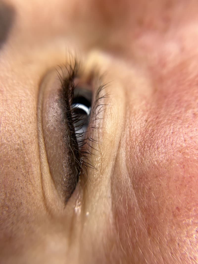 Brow Lab Poprad photo