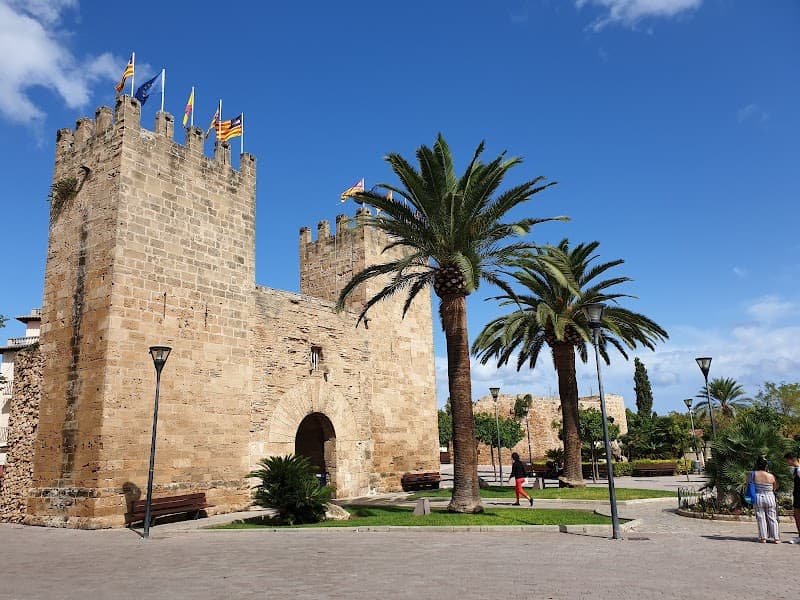 Centro Xara Alcúdia photo