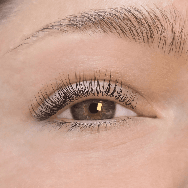 Chicago Lash Lounge photo