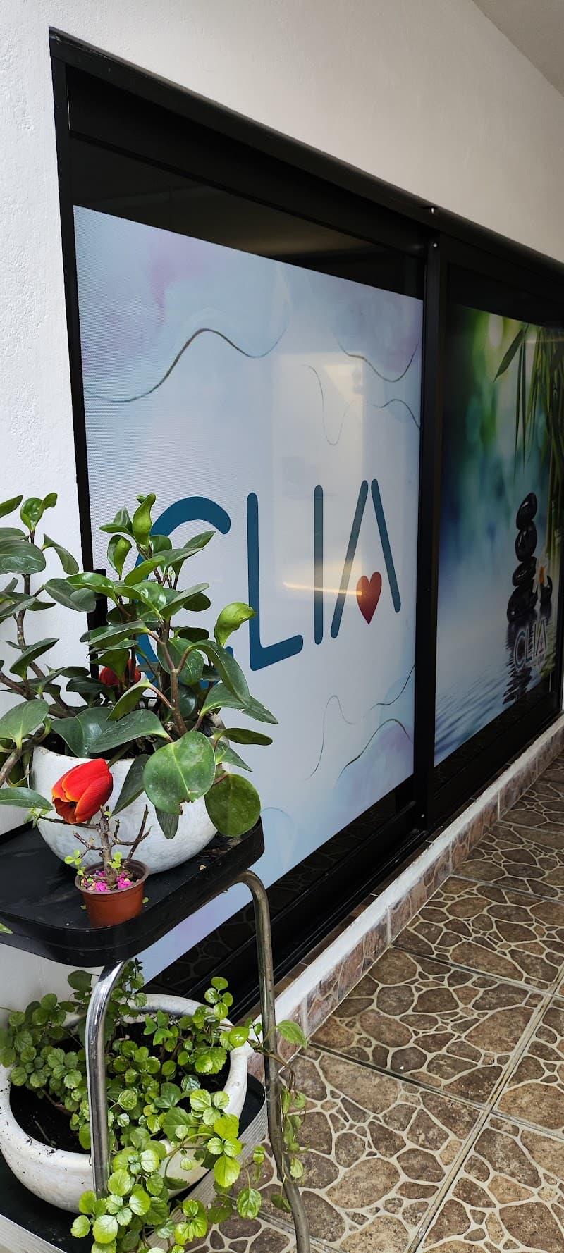 Clia Spa Tláhuac photo