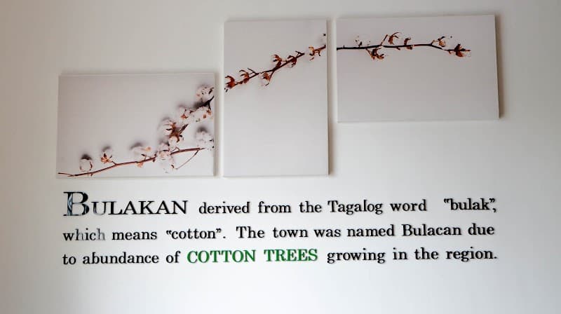 Cotton Trees Spa Guiguinto photo