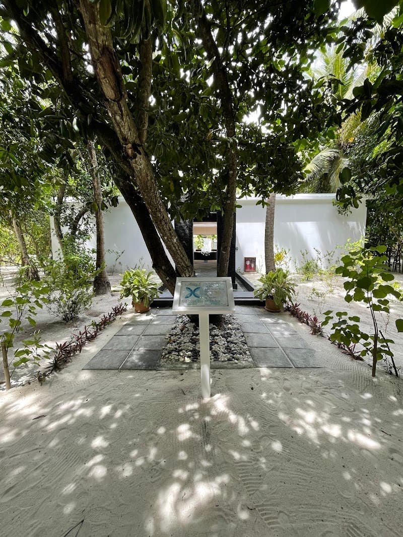 Cuba Spa Lhaviyani photo