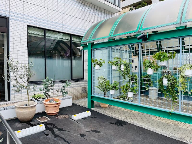 Dahlia Fukuyama City photo