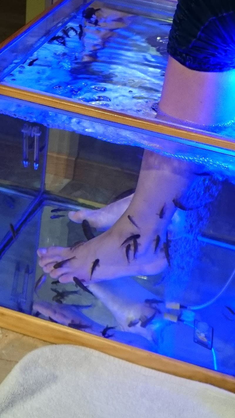 Detent Fish Spa Vienne photo
