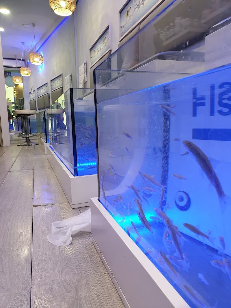 Doctor fish spa Parga photo
