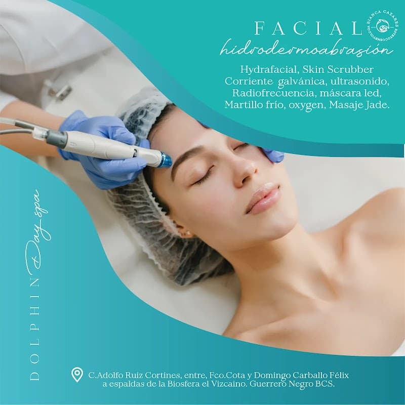Dolphin Day Spa Mulegé photo