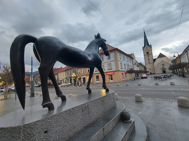 Dragana Slovenj Gradec photo