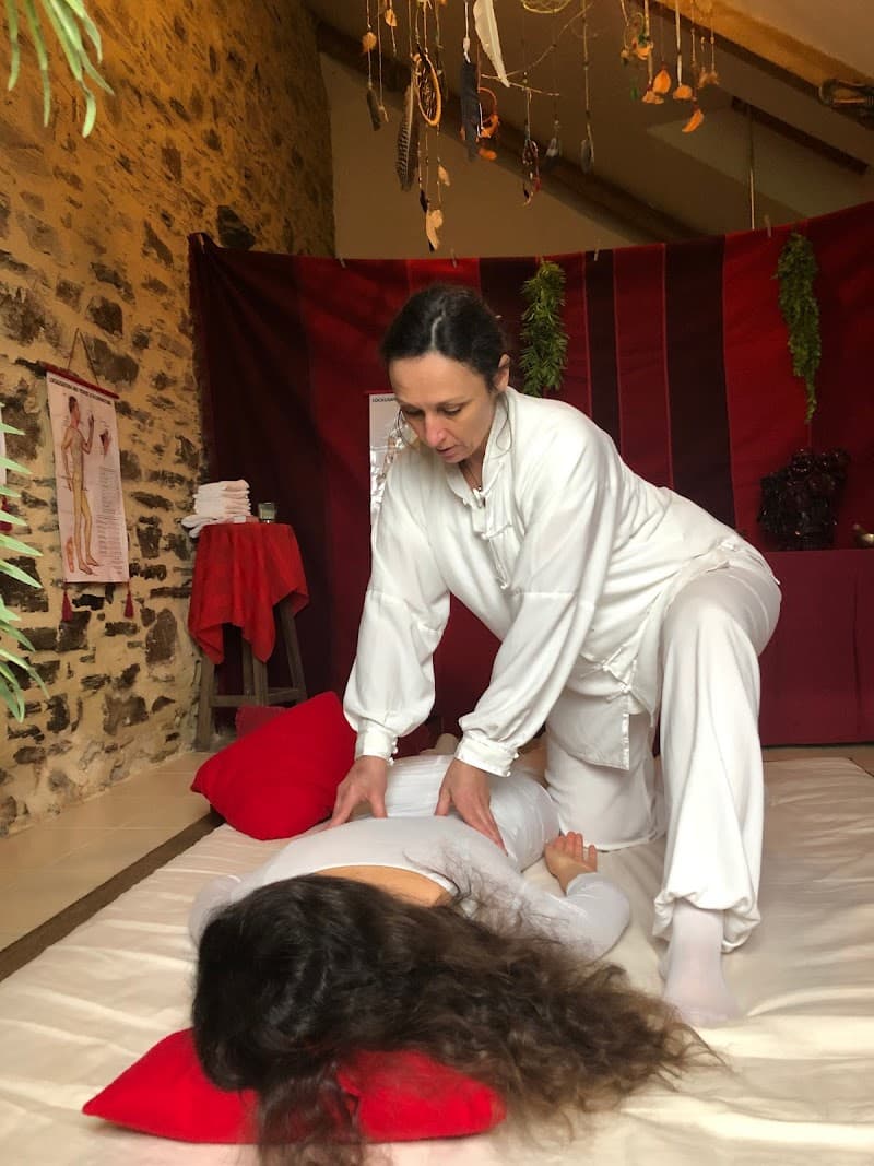Dragon Rouge Shiatsu Arzal photo