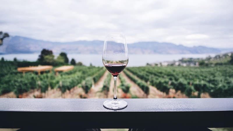 Eleaner McLaren Vale photo