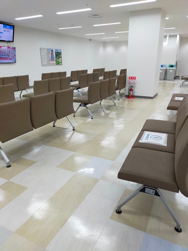 Emily K Matsudo City photo