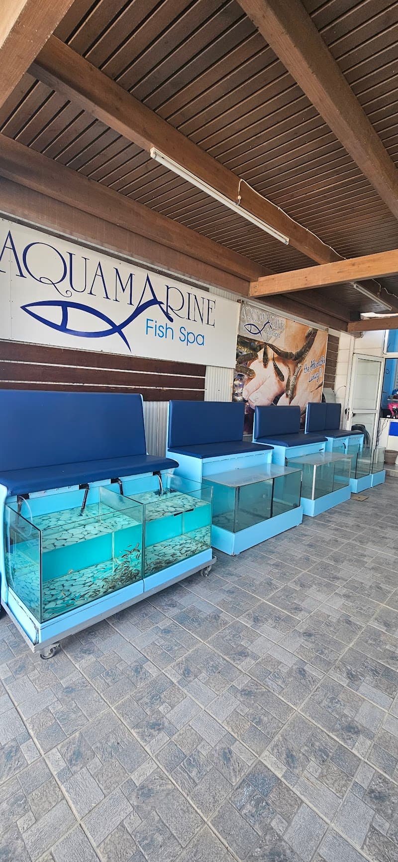 Evexis Fish Spa Kos photo