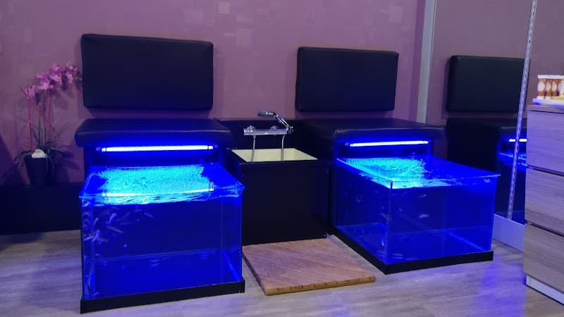 Fish Relax Soufflenheim photo
