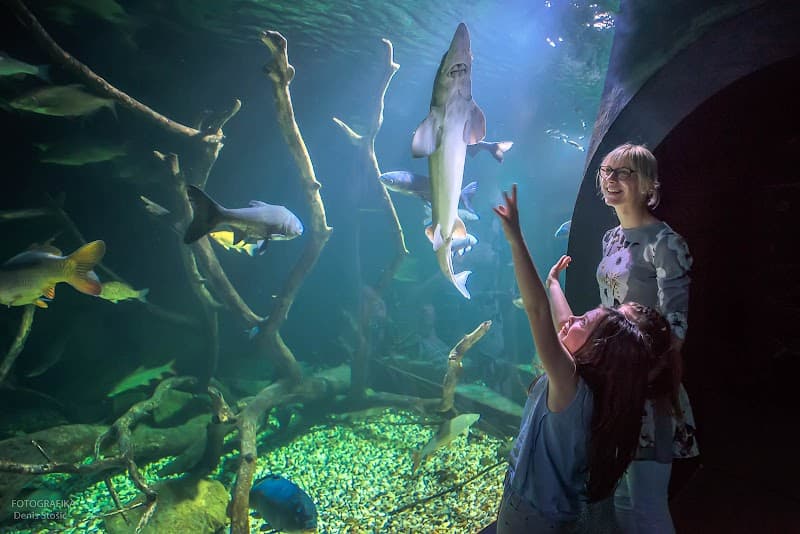 Fish Spa Karlovac photo