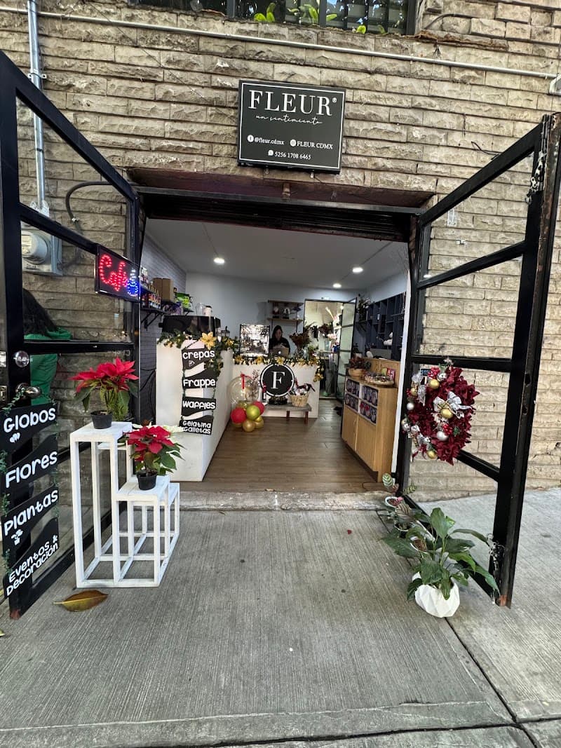 Mexico City fleurs belleza photo