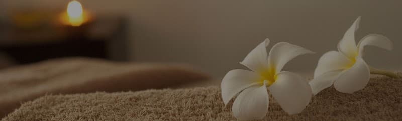 Fraser Wellness Spa Langley photo