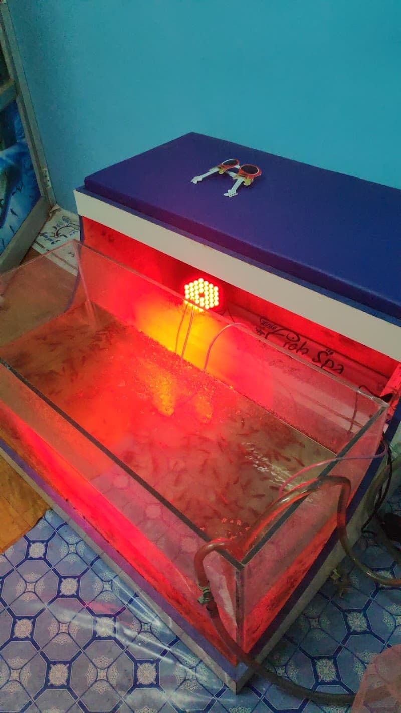 Genie_fish_spa_solapur Solapur photo