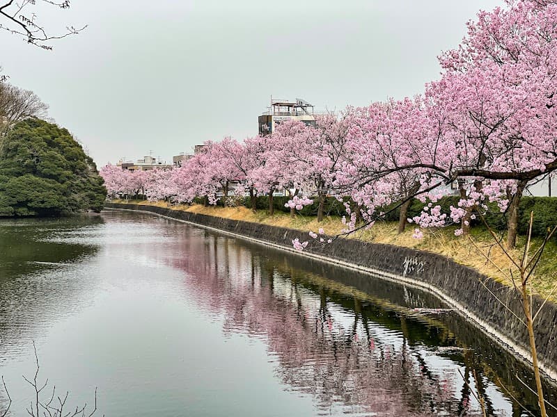 Granspa Kanoen Takaoka City photo