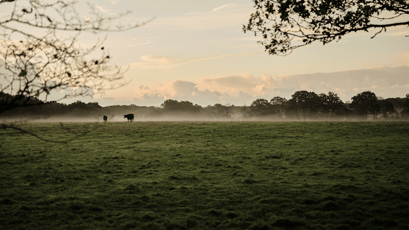 Green Farm Kent Ashford photo