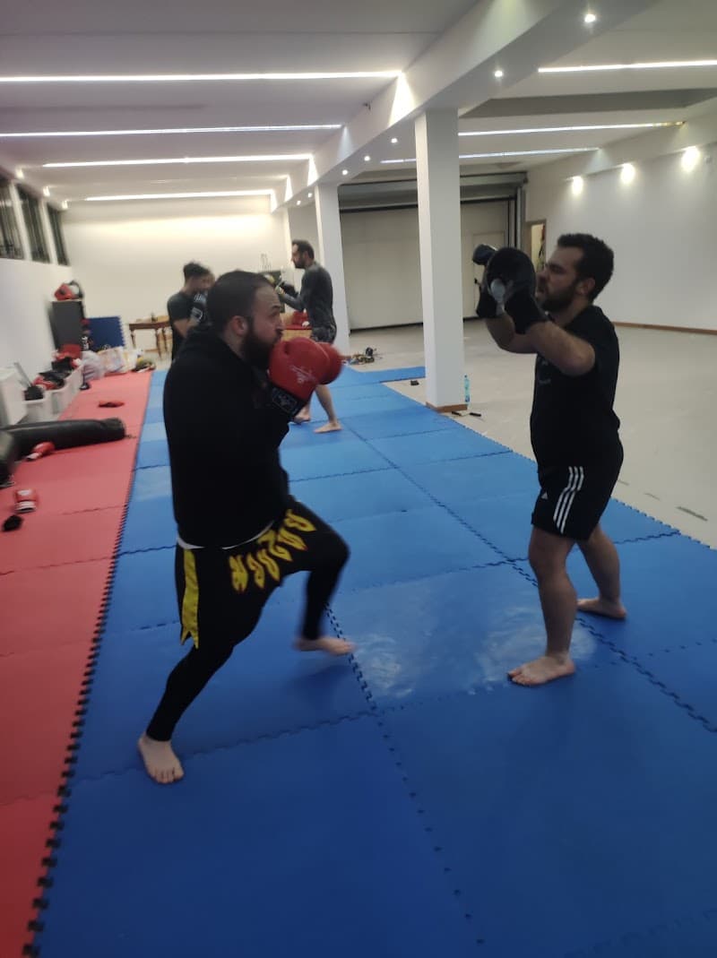 Gruppo Tai-Chi Varese photo