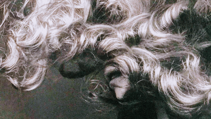 Hairline's coiffure Pau photo