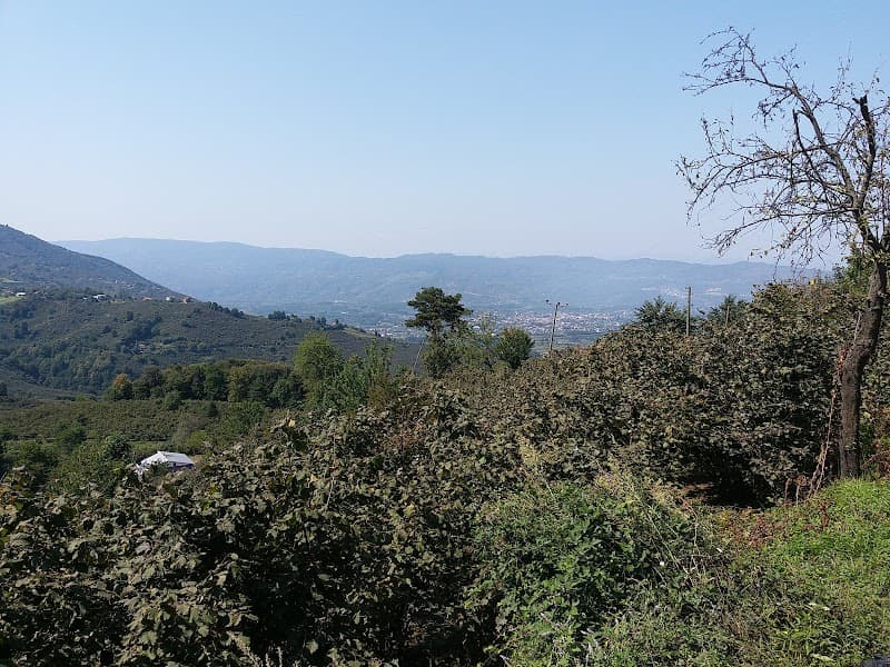 Hamamüstü Köyü Düzce photo