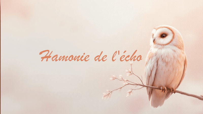Harmonie de l'echo Chauzon photo