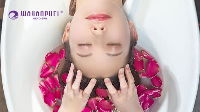 Healing Salon Wa Minato Ward photo