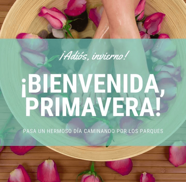 Hebe Clinic Spa Colina photo