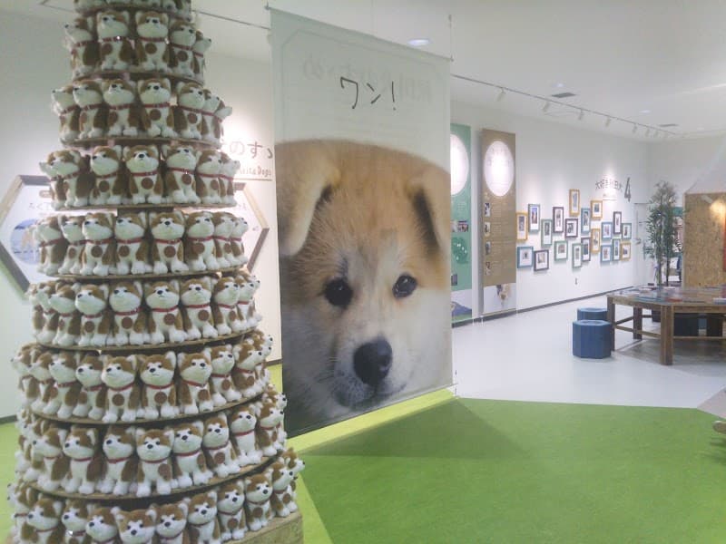 Houou Tei Odate City photo