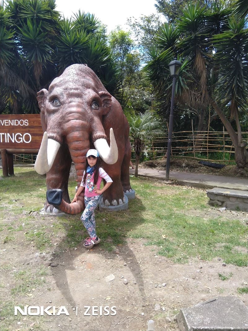 Ilalo Quito photo