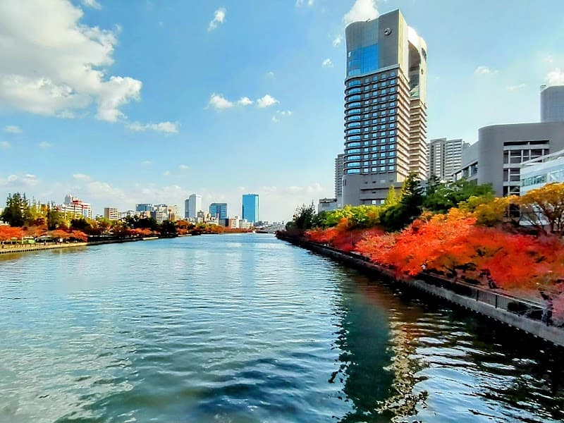 Imperial Hotel Ōsaka Osaka photo
