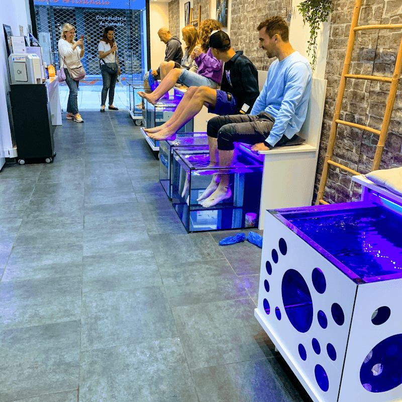 Instant fish spa Avignon photo